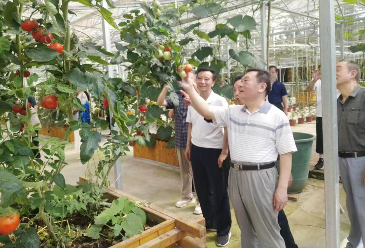 新田老科协财政分会“财源调研”经常化