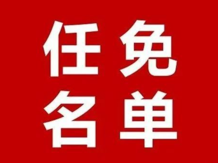 新田县人民代表大会常务委员会任命名单