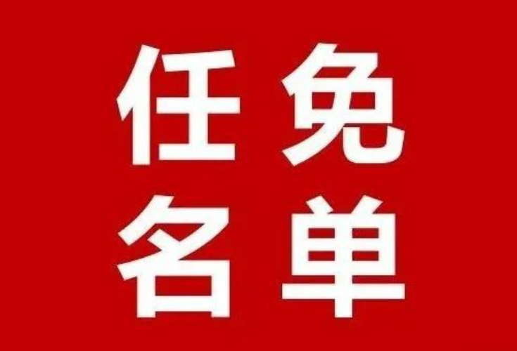 新田县人民代表大会常务委员会免职名单