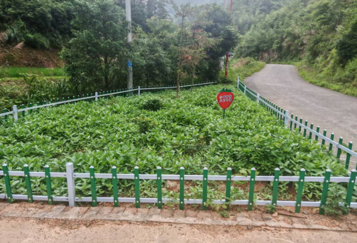 三塘源村扎实推进“六小园建设” 绘就美丽乡村新画卷