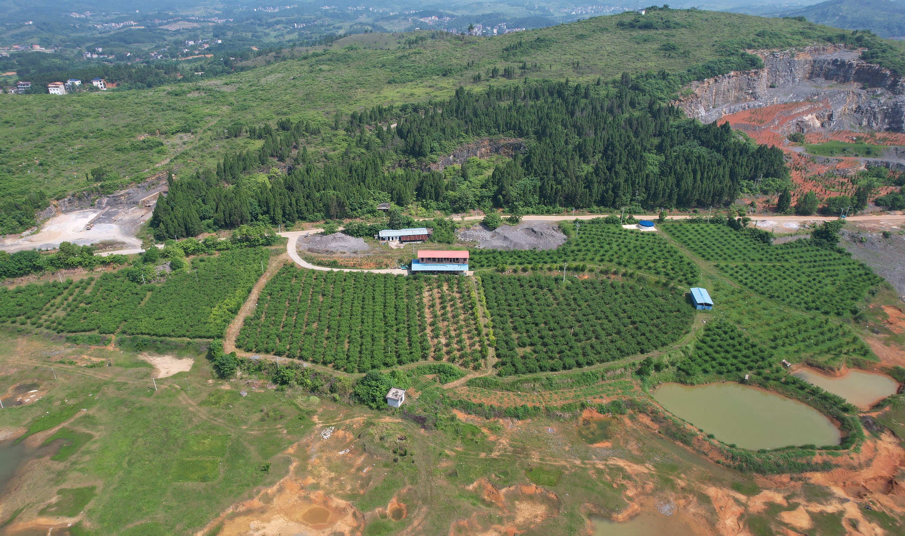 DJI_0100.jpg