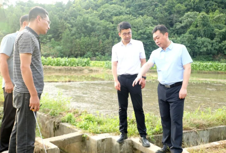 黄永英调研群众身边不正之风和腐败问题集中整治工作