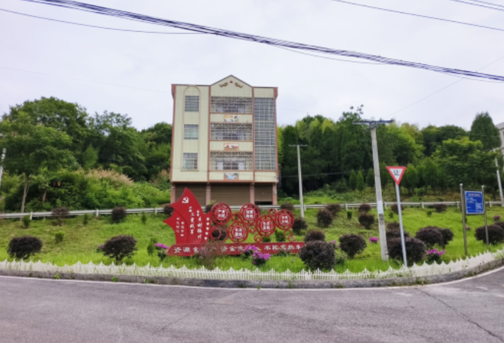 陶岭镇：繁花入村添亮色 三角梅妆点和美乡村