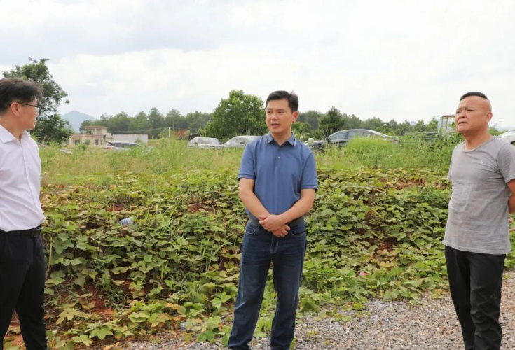 唐清林调研寿光蔬菜基地项目建设情况