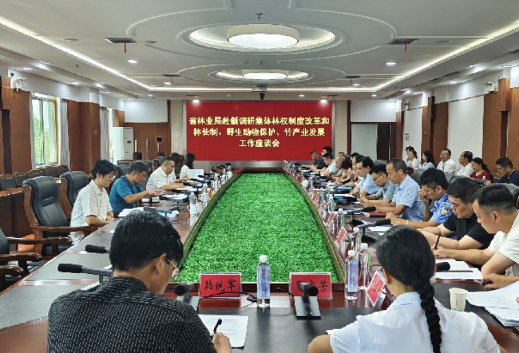 省调研组来新开展集体林权制度改革和林长制等立法调研