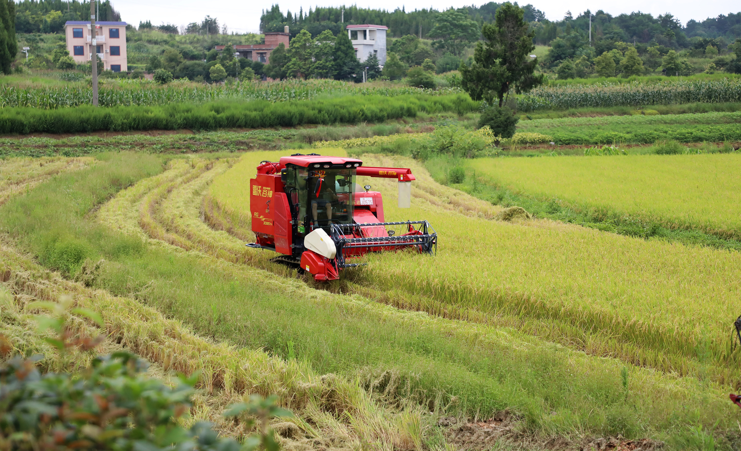 011A8678.jpg 011A8678.jpg