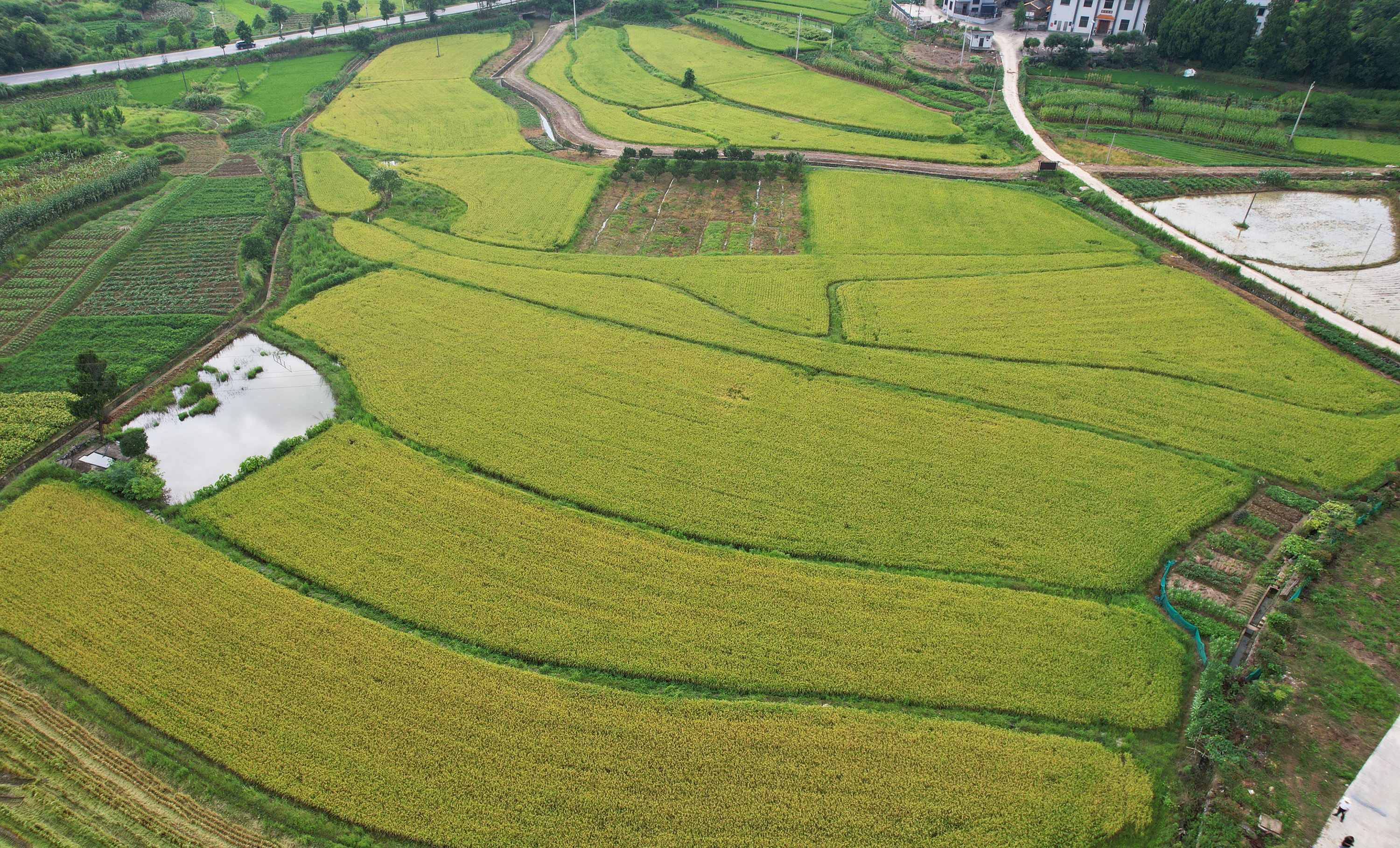 DJI_0389.jpg DJI_0389.jpg