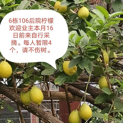 1609915752.jpg