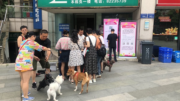 居民朋友现场排队办犬证.jpg
