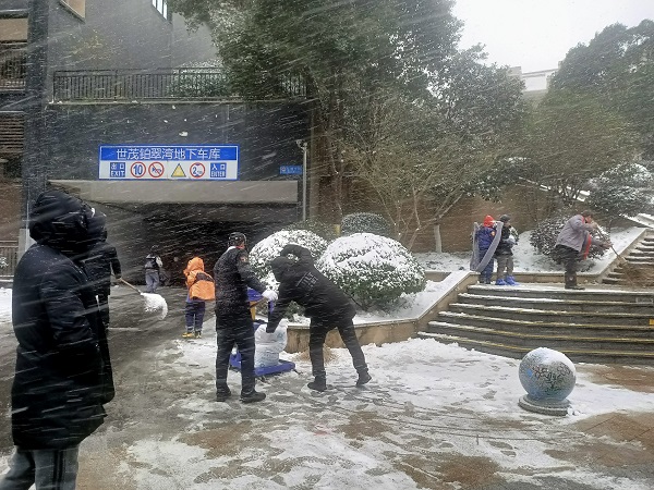 冒着缤纷的大雪撒盐除冰.jpg