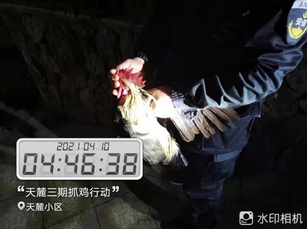图片22.jpg