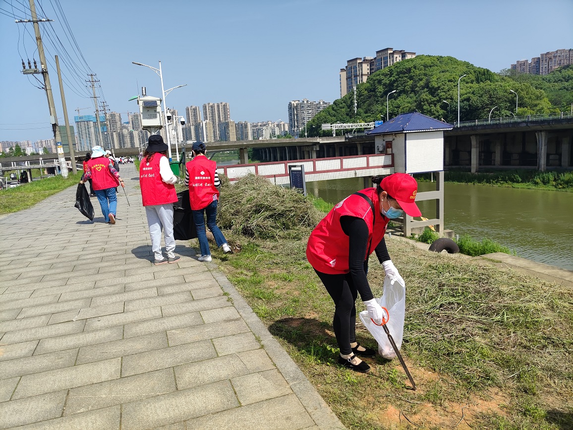志愿者三个一群两个一伙结伴而行拾龙王港上白色垃圾.jpg