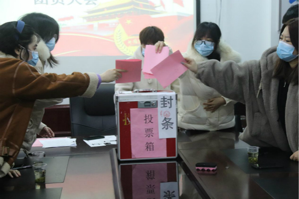 望岳街道迅速完成12个社区村团组织换届选举工作
