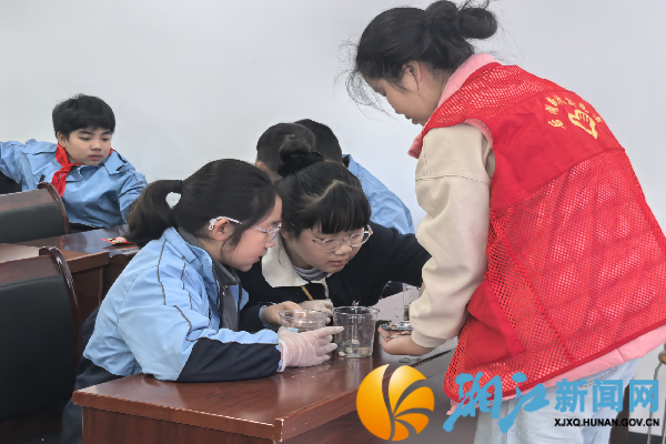 志愿者协助青少年开展水仙花标准化种植操作_副本.png 志愿者协助青少年开展水仙花标准化种植操作_副本.png