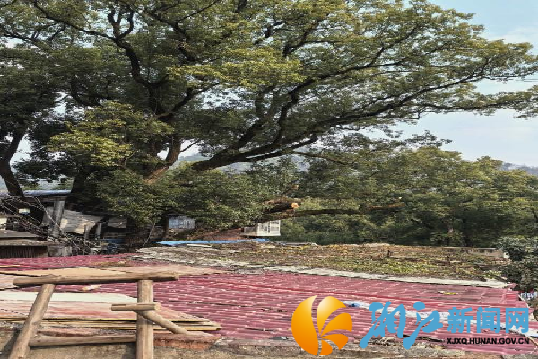 图片8_副本.png 图片8_副本.png