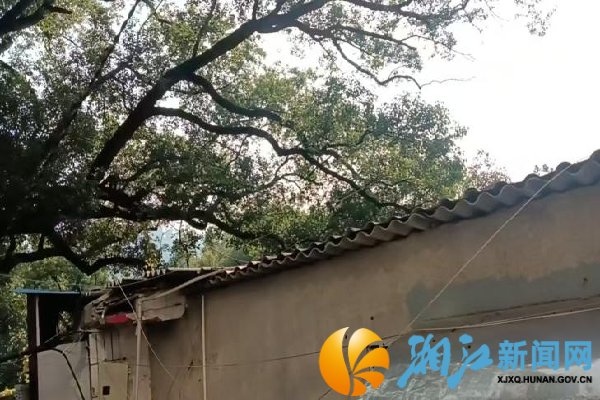 图片7_副本.png 图片7_副本.png