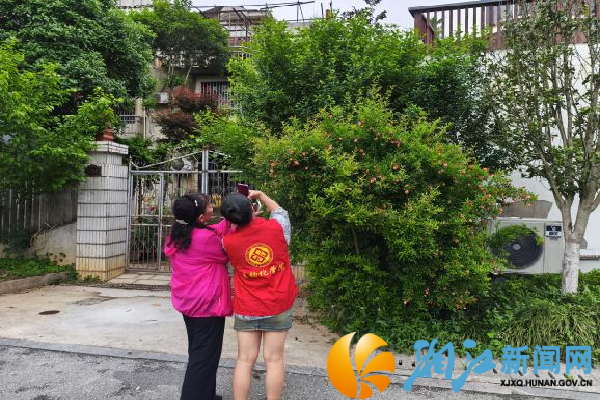 图片2_副本.png
