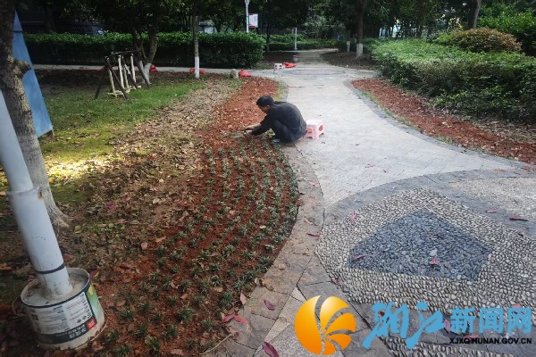 微信图片_20250604150444_副本.jpg 微信图片_20250604150444_副本.jpg
