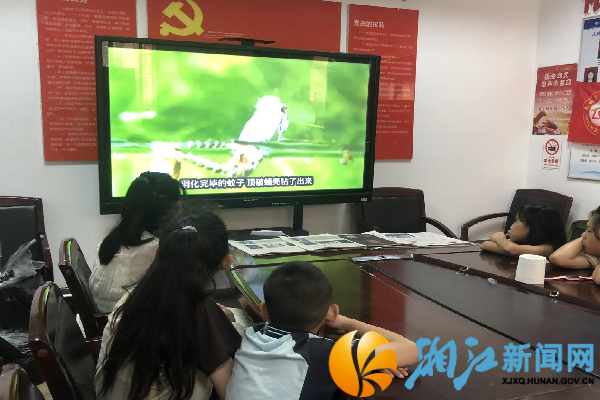 图片2_副本.png