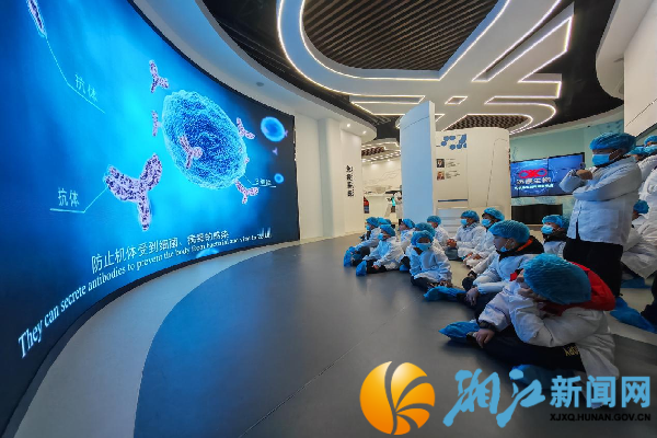 图片2_副本.png