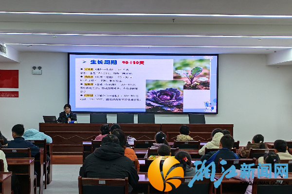主讲人讲解花青素知识_副本.png