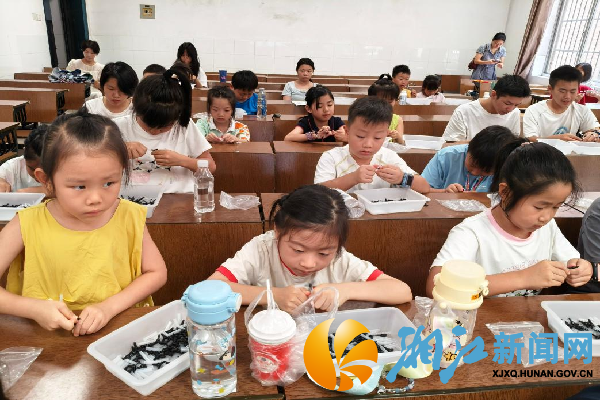 图片1_副本.png