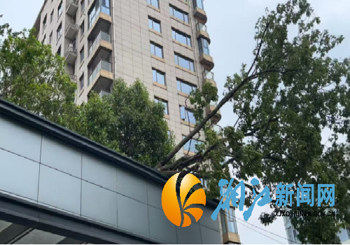 微信图片_20250427144905_副本.png