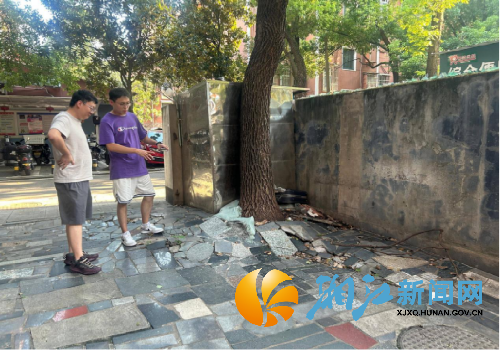 微信图片_20250728122338_副本.png