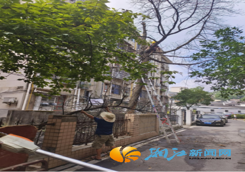 微信图片_20250910143414_副本.png