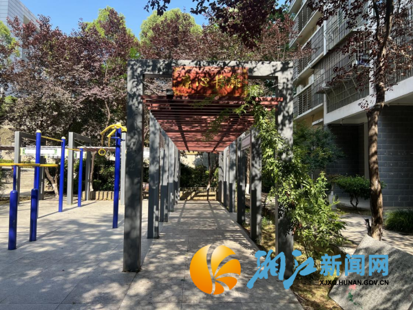 图片1_副本.png
