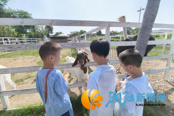 图片2_副本.png