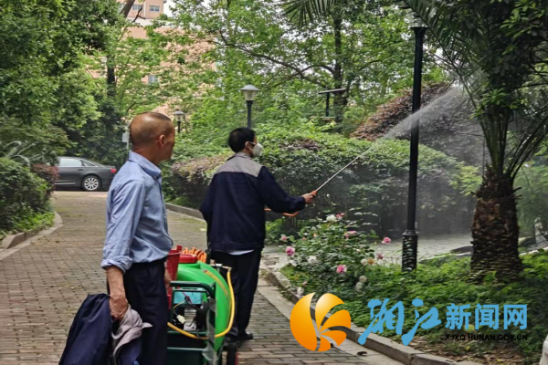图片2_副本.png
