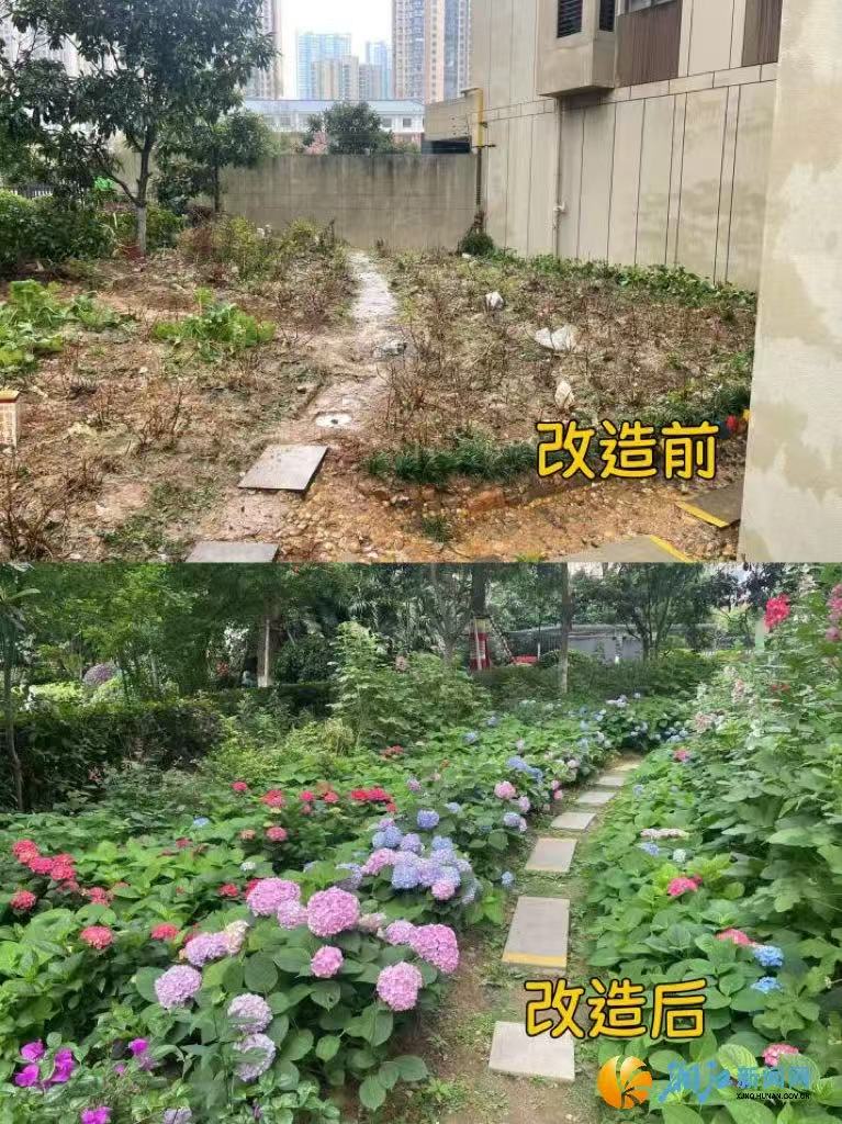 微信图片_20250815112744_45.jpg