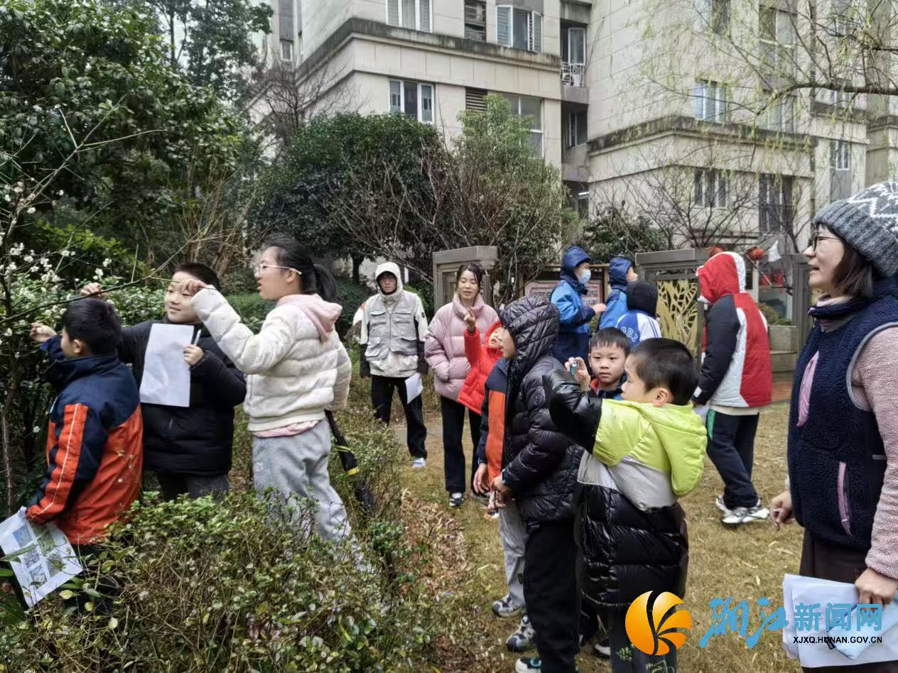 微信图片_20260210094103.jpg 微信图片_20260210094103.jpg