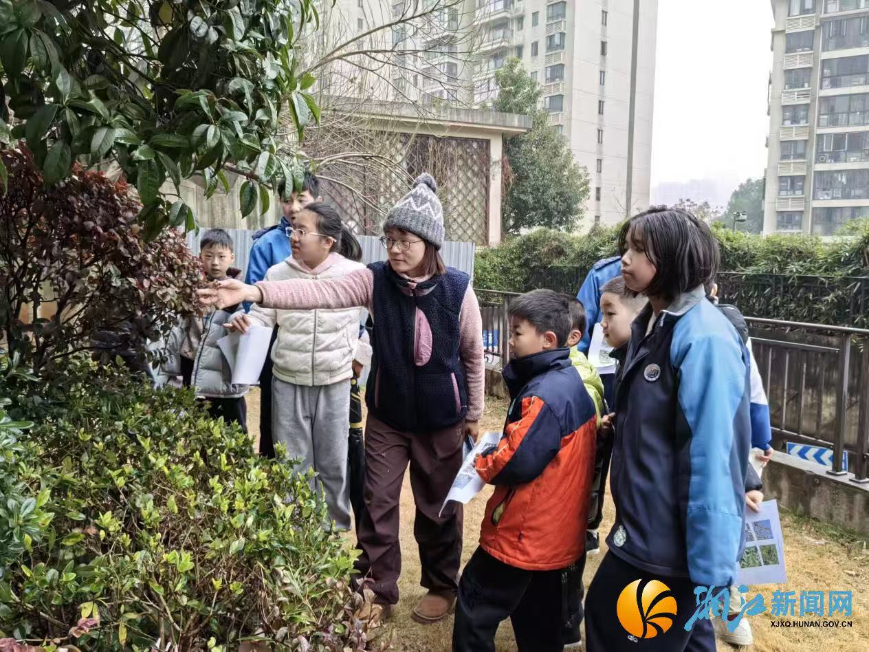 微信图片_20260209155448.jpg 微信图片_20260209155448.jpg