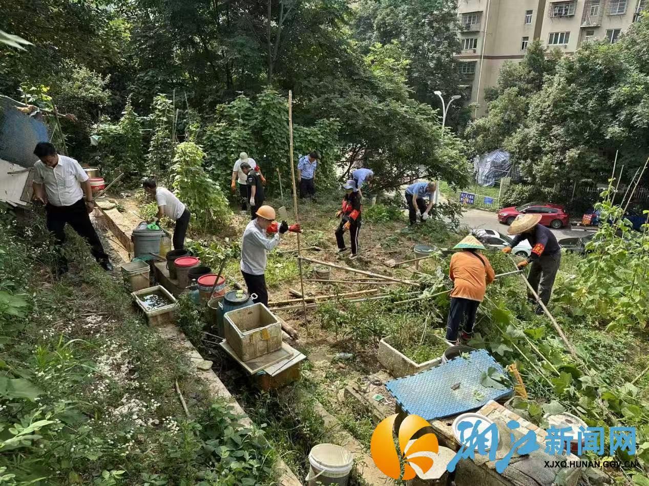 微信图片_20260702161105.jpg 微信图片_20260702161105.jpg