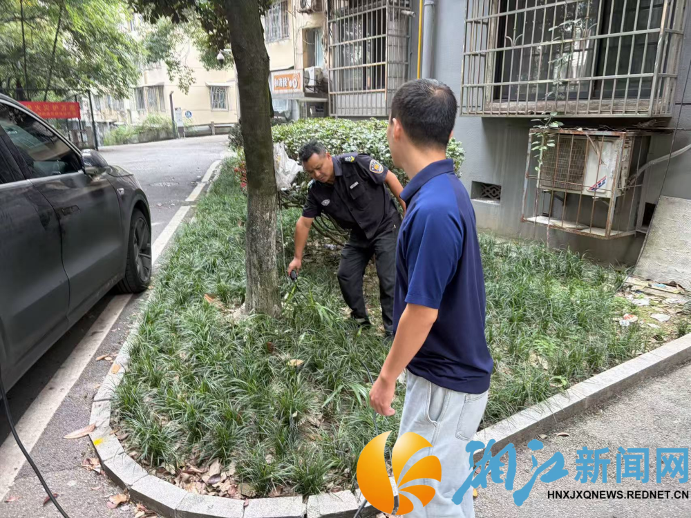 0917石佳冲电动车_副本.png
