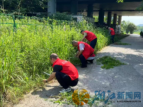 图片2_副本.png