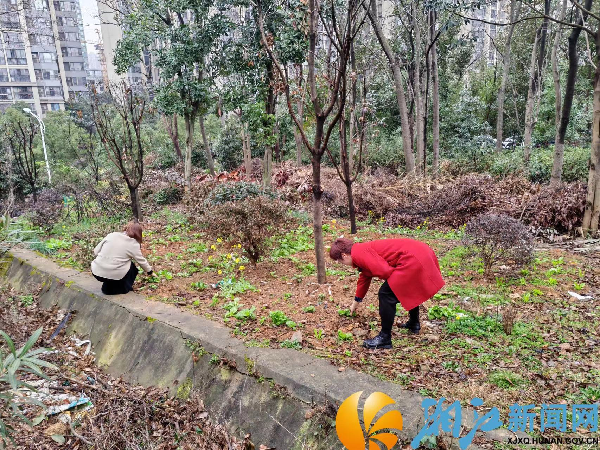 图片4.png 图片4.png