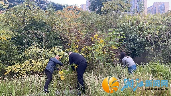 0e568528037d89ea3c49f01f33dd65dd.jpg 0e568528037d89ea3c49f01f33dd65dd.jpg