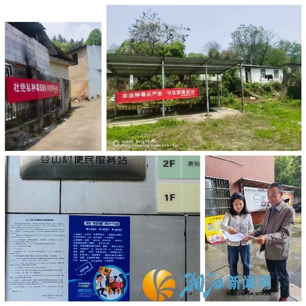 图片2.jpg 图片2.jpg