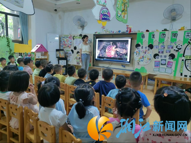 wechat_2025-06-06_165612_446.png