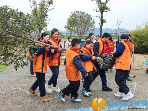 图片3.png 图片3.png