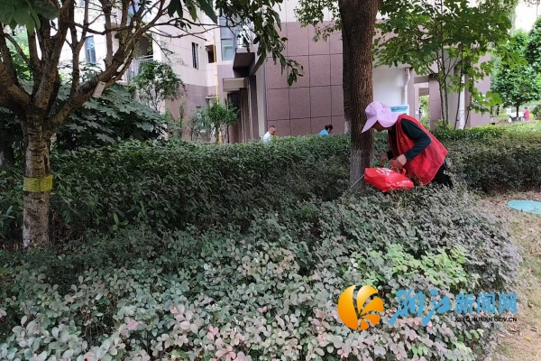 图片6.png 图片6.png