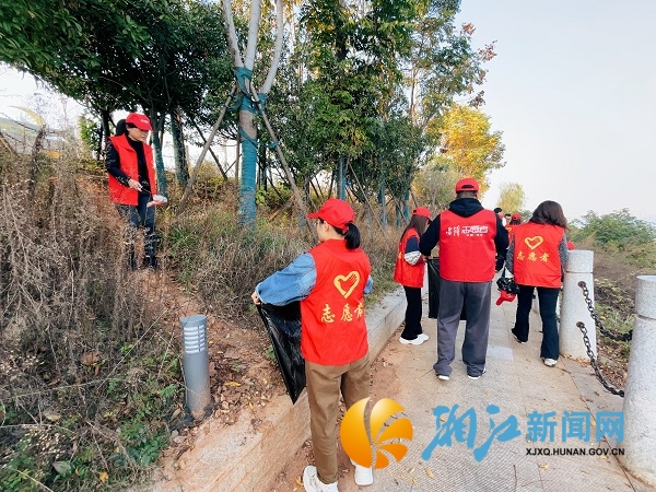 桐溪港社区河道清理_副本.jpg