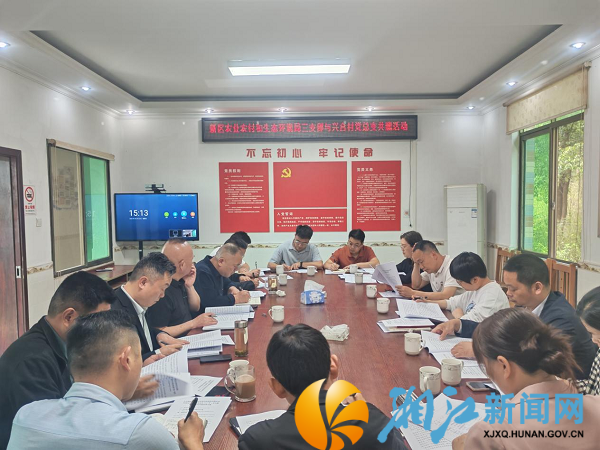 党建引领聚合力 专业赋能促振兴_副本.png