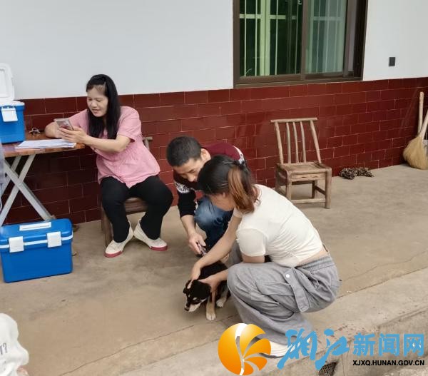 微信图片_20260514104151_副本.jpg 微信图片_20260514104151_副本.jpg