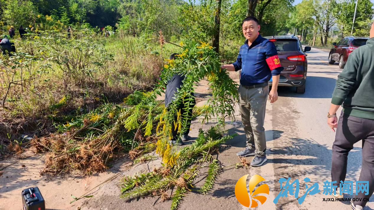 图片1.png 图片1.png