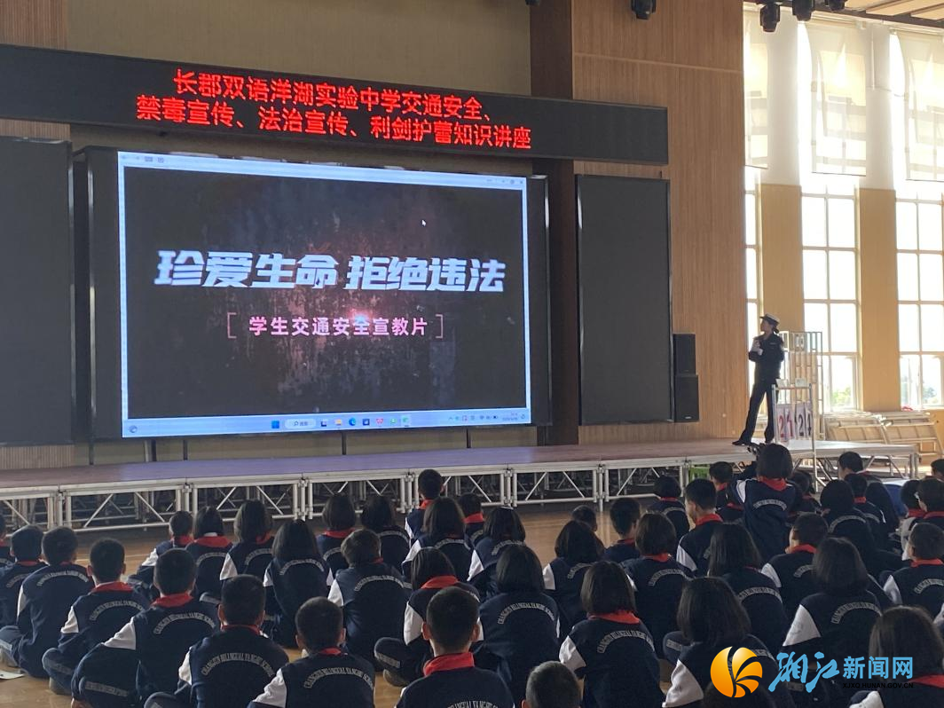 图片3_副本.png