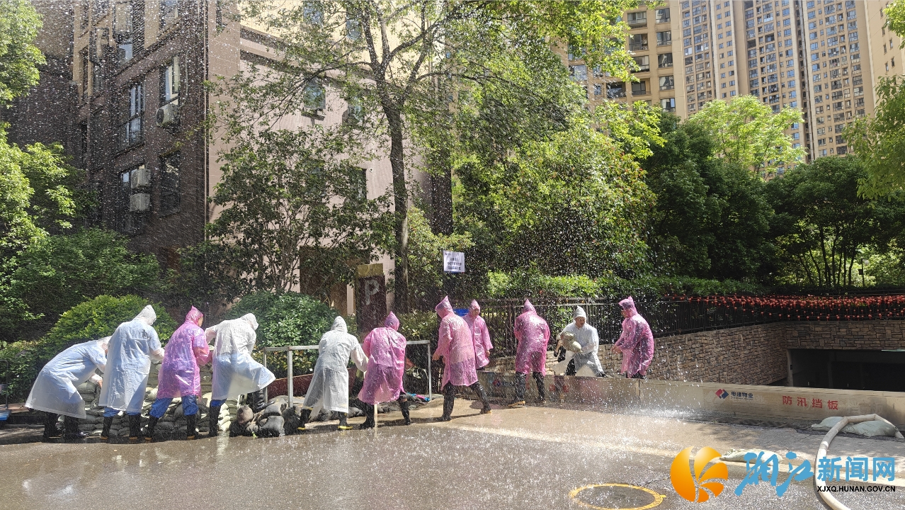 微信截图_20250418145158.png